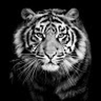 Profile Picture of Alan Rubi (@alan-rubi-3) on Quora