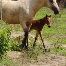 Profile Picture of Alejandro Palencia (@00260d87e6c54cd) on Twitter