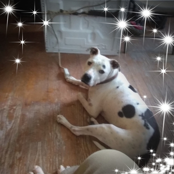 Profile Picture of Pete Thompson (@pete_thompson) on Poshmark