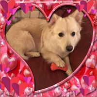 Profile Picture of Patricia Cocozza (@patricia-cocozza) on Quora