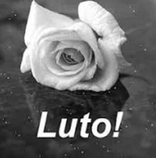 Profile Picture of Silvana Rocha (@Silvana-Rocha) on Facebook