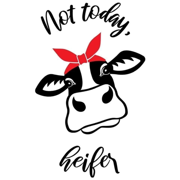 Profile Picture of Nikki Nicolle (@shoncapri) on Poshmark