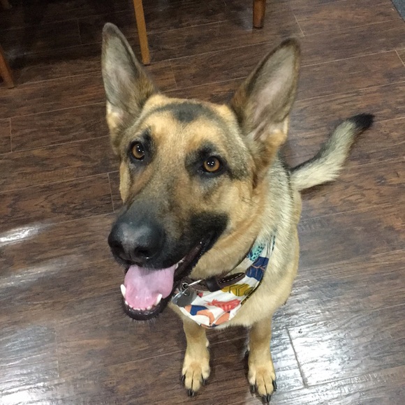 Profile Picture of Cara Binelli (@cbinelli) on Poshmark