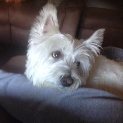 Profile Picture of Joanna Lockwood (@JoJoPower23) on Twitter