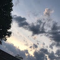 Profile Picture of Clarissa Marin (@clarissa-marin-8) on Quora