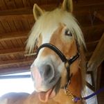 Profile Picture of sarah_justin_30.01.2016_ (@sarah_justin_30.01.2016_) on Instagram