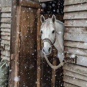 Profile Picture of Youmma Elbaz (@yoummaelbaz539) on Youtube