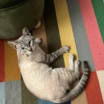 Profile Picture of Amber Tanner (@Amber-Tanner) on Facebook