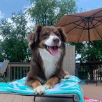 Profile Picture of hazel cox (@heythereimhazel) on Instagram