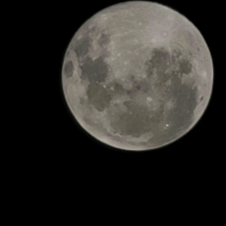 Profile Picture of Danny Labaste (@dannylabaste) on Tiktok