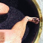 Profile Picture of Jonathan Hughes (@jonnyhugheswine) on Instagram