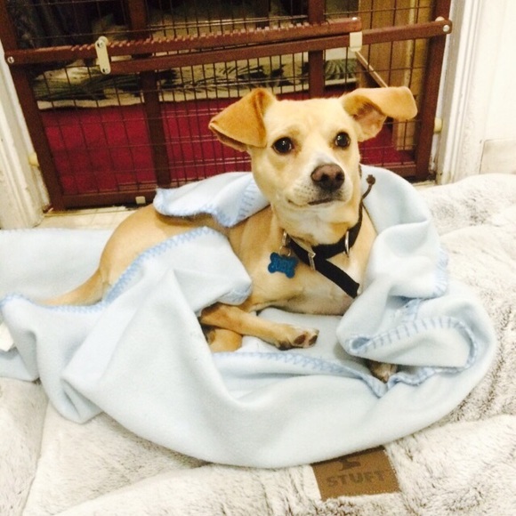 Profile Picture of Cinthia Reyes (@c_reyes2) on Poshmark