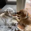 Profile Picture of Catherine Neiswender (@catherine.neiswen) on Tiktok