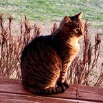 Profile Picture of Nancy Huddleston (@nancyhudd77) on Instagram