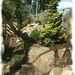 Profile Picture of OLIVE TREE LANDSCAPE & DESIGN -----Billy Galanis (@crazygreekboy) on Pinterest