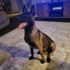 Profile Picture of Josh Tackett (@tackett.josh) on Tiktok