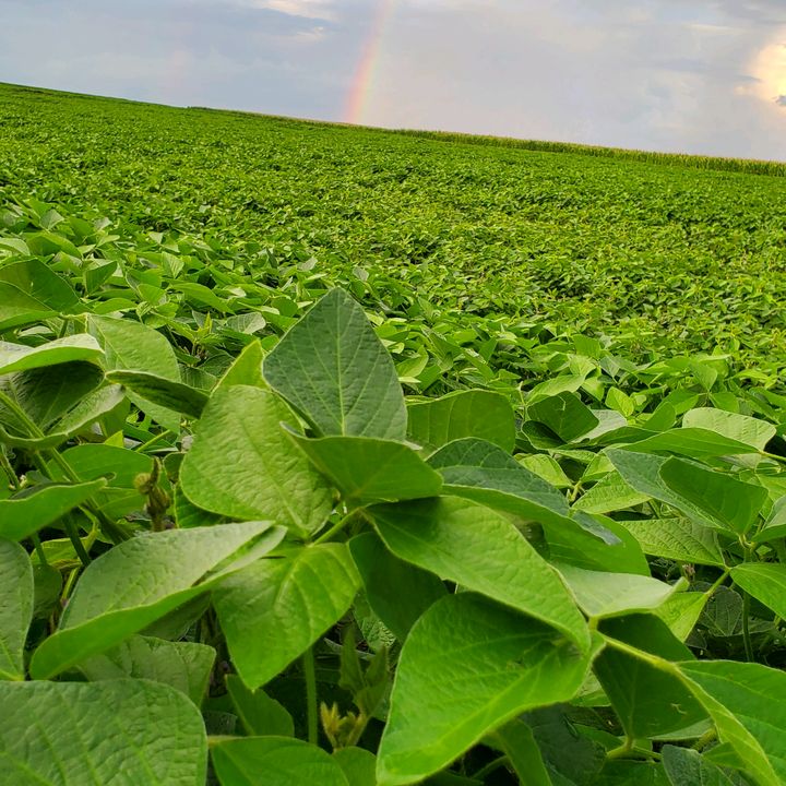 Profile Picture of eldonfriesen2 (@eldonfriesen2) on Tiktok