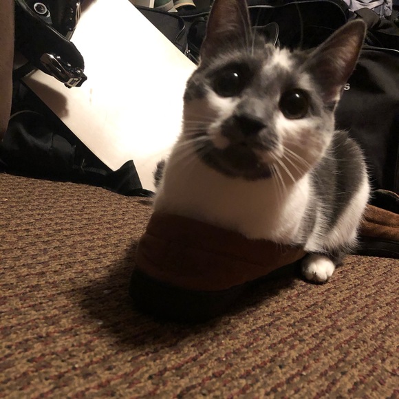 Profile Picture of Gianna Ruggio (@gruggio26) on Poshmark