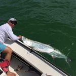 Profile Picture of Clint Burns (@_c_burns_) on Instagram