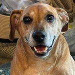 Profile Picture of Cyndi Roberts (@cyndir61) on Instagram