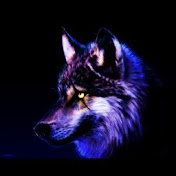 Profile Picture of Gryphon Connin (@gryphonconnin831) on Youtube