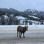 Profile Picture of John (@john____graham) on Instagram