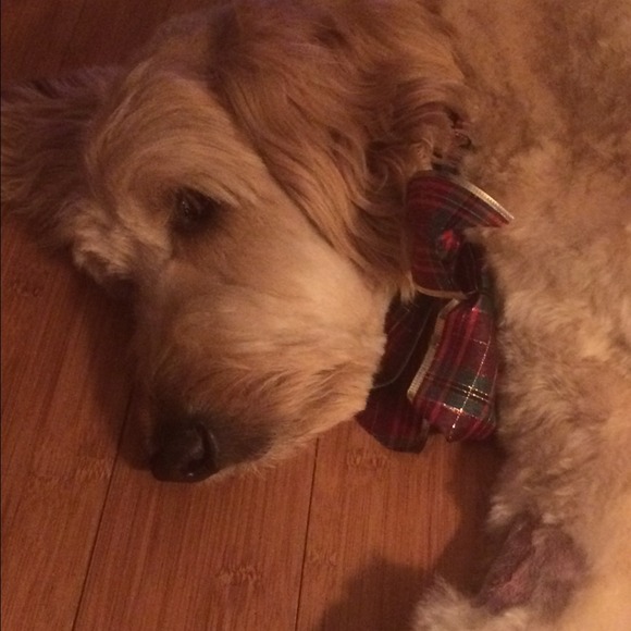 Profile Picture of Aimee Banting (@abants_) on Poshmark