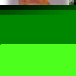 Profile Picture of Deb Ryba Kersten (@dkersten) on Myspace