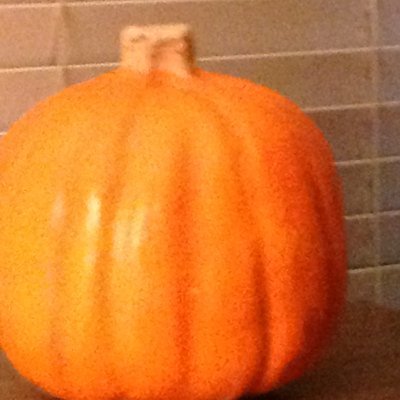 Profile Picture of Nancy Pawlowski (@NancyPawlowski) on Twitter