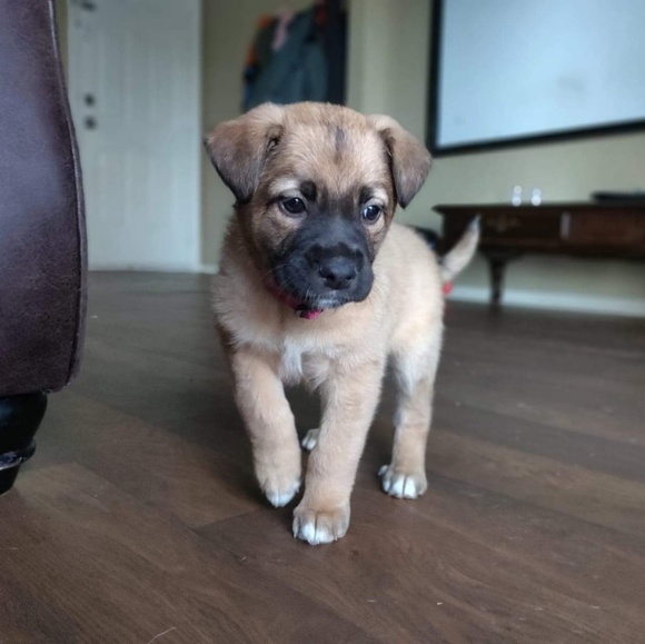 Profile Picture of Yolanda Miranda (@yolanda_miranda) on Poshmark