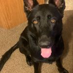 Profile Picture of Zachary Horton (@zachary.horton.771) on Instagram