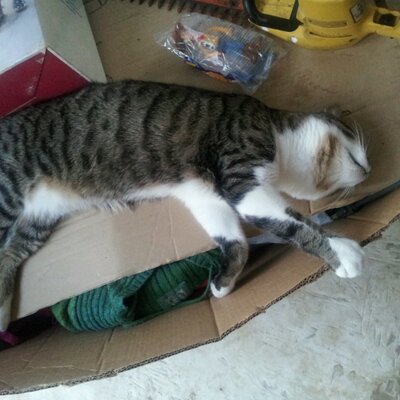 Jeremy Lomax - Twitter Profile Picture of Jeremy Lomax (@JeremyLomax) on Twitter