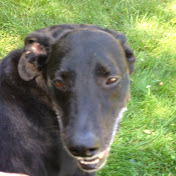 Profile Picture of Shawn Campbell (@shawncampbell2140) on Youtube