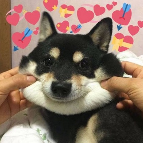 Profile Picture of Marc Maniego (@mochewy) on Poshmark