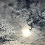 Profile Picture of Cindy McCartney (@griefandsunshine) on Instagram