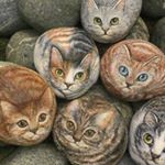 Profile Picture of CrazyCat_Mumma (@andrew.jules) on Instagram