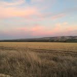 Profile Picture of Simon (@simonmartin_) on Instagram