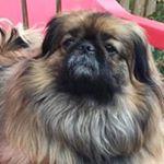 Profile Picture of Beverly Conrad (@beverlyconrad) on Instagram