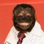 Profile Picture of Garth Scott (@amazingmonkey95) on Instagram