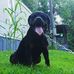 Profile Picture of Tony Adair (@tony.adair.908) on Facebook