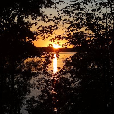 Profile Picture of Jeff Hollis (@redoak1953) on Twitter