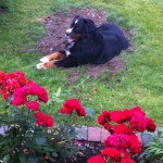 Profile Picture of Inger Richardson (@ingerrichardson) on Instagram