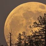 Profile Picture of Ayesha Rashid (@ayesha.rashid.3597) on Instagram