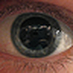 Profile Picture of Doug Waldron (@Doug Waldron) on Flickr