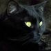 Profile Picture of Randy Marie Heistman Krupa (@randy.heistmankrupa) on Facebook