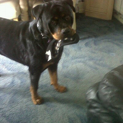 Profile Picture of Phillip Smith (@PhilltheRath) on Twitter