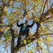 Profile Picture of Steve Van Loben Sels (@stevevls) on Pinterest