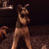 Profile Picture of DavidnKatelyn (@davidnkatelyn) on Tiktok