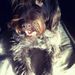 Profile Picture of Amber Muñoz Fretts (@amberino) on Pinterest