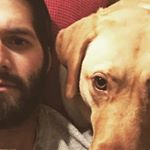 Profile Picture of Harvey David (@david_gillespie11) on Instagram